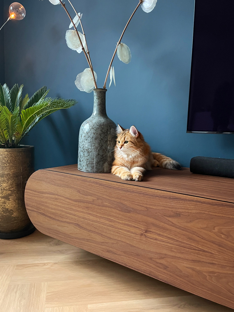 Media console walnut cat